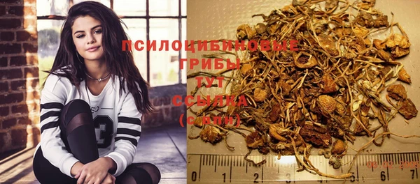 ECSTASY Алзамай