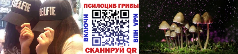 Галлюциногенные грибы Cubensis  Курганинск 